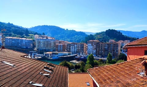 Bird's eye view, Mountain view