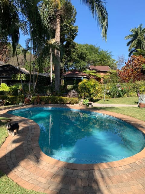 Garden, Pets, Swimming pool