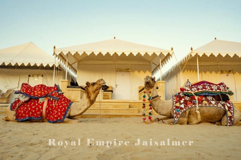 Day, People, Animals, Text overlay, Landmark view, group of guests