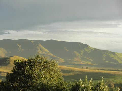 Natural landscape