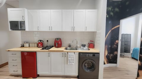 Coffee/tea facilities, Kitchen or kitchenette, dishwasher, stove, washing machine