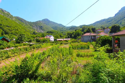 Apartments Stevan Country House in Podgorica Municipality, Montenegro