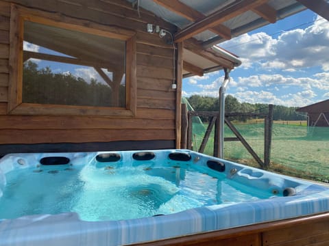 Hot Tub, Spa and wellness centre/facilities, Open Air Bath