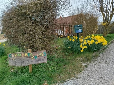 Natural landscape, Garden, Garden view, Street view, Parking