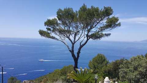 villa la guardia Bed and Breakfast in Anacapri