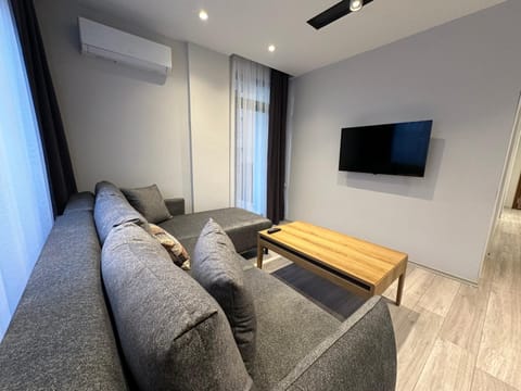 Communal lounge/ TV room, TV and multimedia, Living room, Seating area, air conditioner