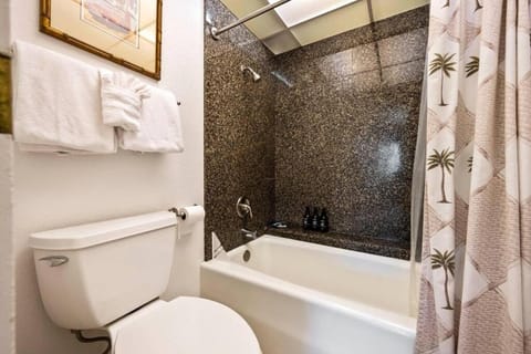 Kaanapali Shores 423- Ocean view 2 bed, 2bath Kaanapali Shores gem Apartment in Kaanapali