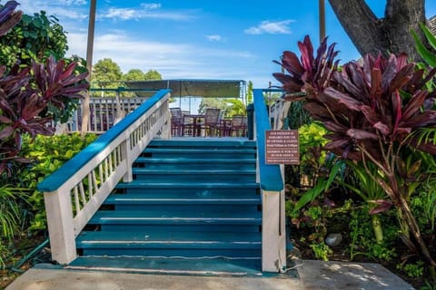 Kihei Kai Nani 100- Remodeled Ground floor, Oceanview, steps to Beach Apartment in Wailea