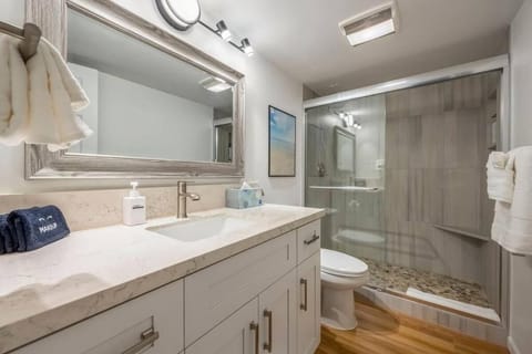 Kihei Kai Nani 100- Remodeled Ground floor, Oceanview, steps to Beach Apartment in Wailea