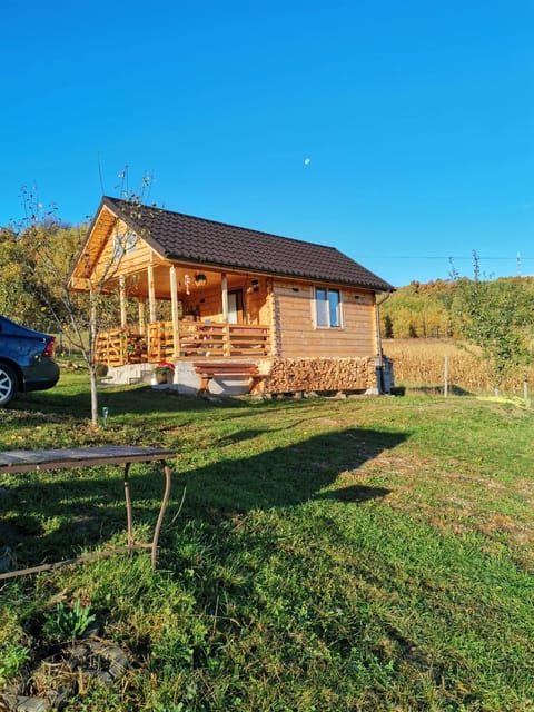 Property building, Spring, Day, Natural landscape, Garden, Garden view