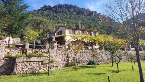 Property building, Natural landscape, Garden