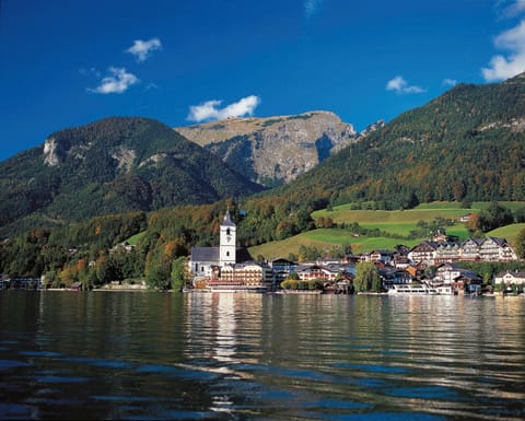 Natural landscape