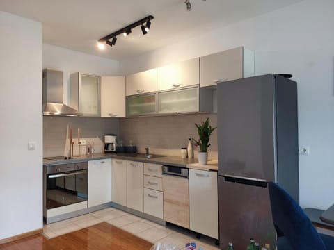 Kitchen or kitchenette, dishwasher, oven, stove
