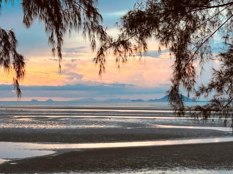 Natural landscape, Sea view, Sunset