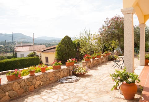 Patio, Garden, Garden view, Quiet street view