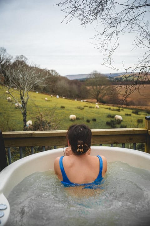 Eagle's Nest Connemara and Westport Apartment in County Mayo