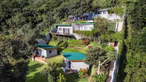 Property building, Natural landscape, Bird's eye view, Garden, Garden view