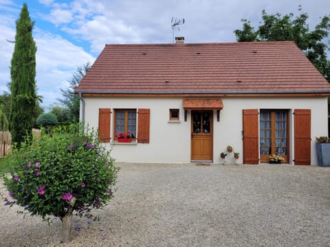 Property building, Garden view