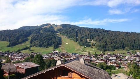13-Beds with Sauna - Morzine - Easy walk to Centre Chalet in Les Gets