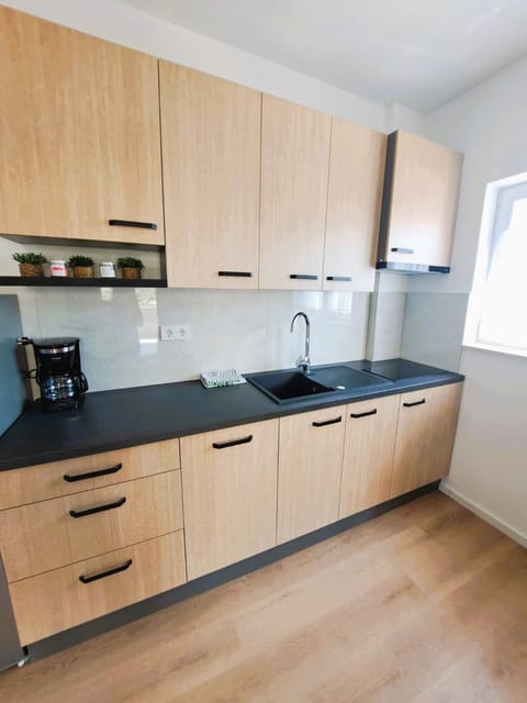 Kitchen or kitchenette, dishwasher, stove