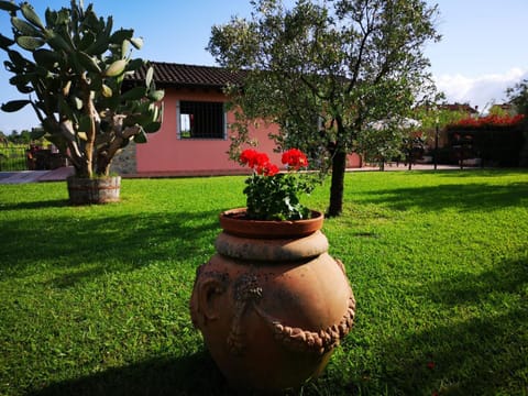 Property building, Garden
