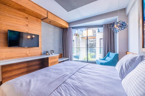 Bed, TV and multimedia, Photo of the whole room