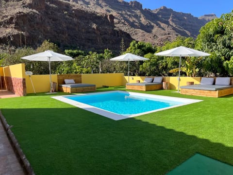 Spring, Garden view, Pool view, sunbed