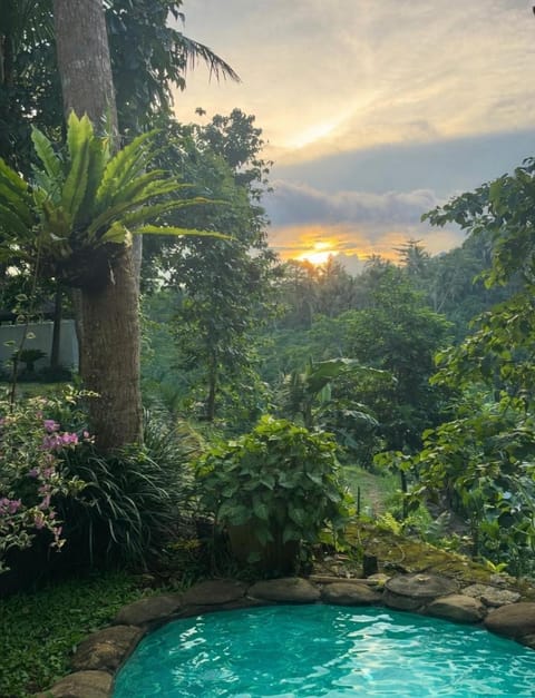 Villa Lotus Ubud - 2 BR - private garden & pool Villa in Tampaksiring