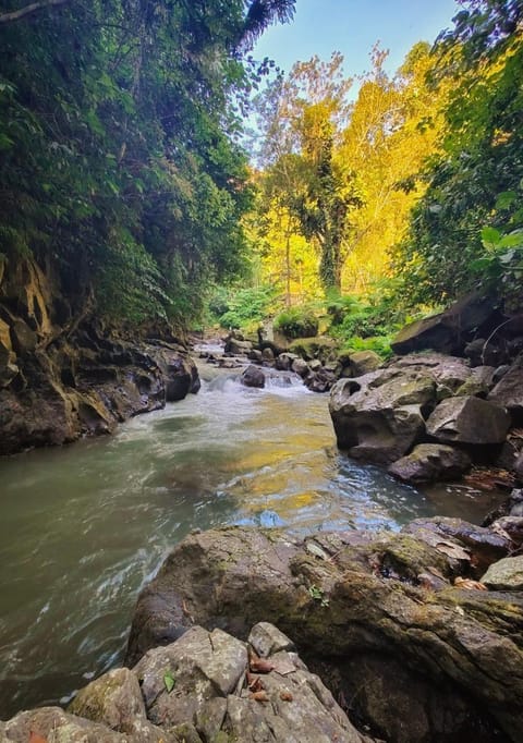 Villa Lotus Ubud - 2 BR - private garden & pool Villa in Tampaksiring