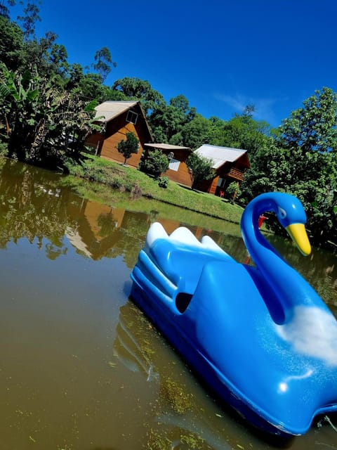 Lake view