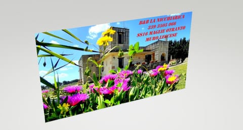 Property building, Patio