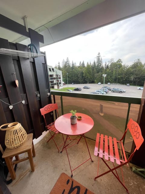 Chaleureux Studio Montagnard avec balcon 2303 Apartment in Jura