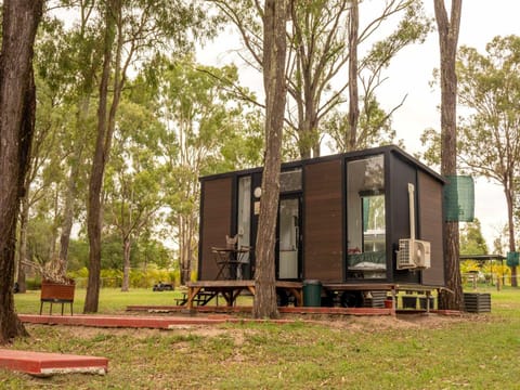 Property building, Day