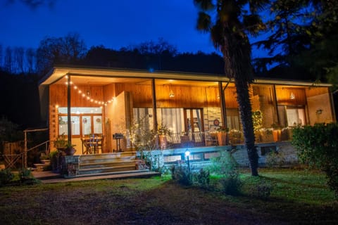 Property building, Night