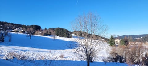 Le Petit Sapin Apartment in Xonrupt-Longemer