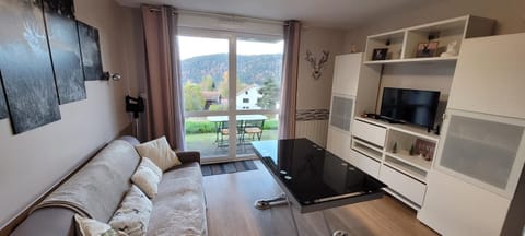 Le Petit Sapin Apartment in Xonrupt-Longemer