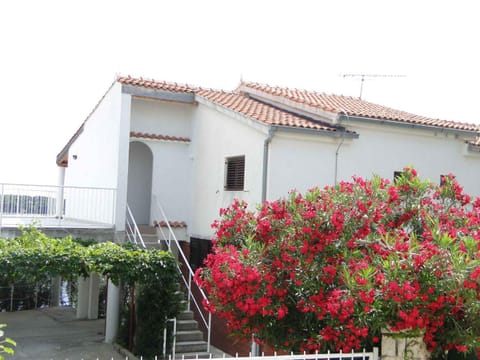Property building, Summer