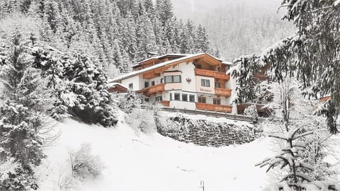 Property building, Winter