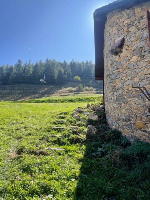 Natural landscape, Garden view