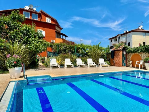 Pool view, Swimming pool, sunbed