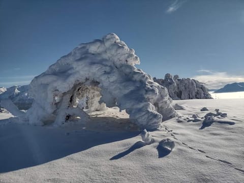 Cosy 2 pièces à deux pas du petit train de la Mure Apartment in Provence-Alpes-Côte d'Azur