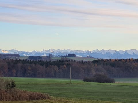 Mountain view