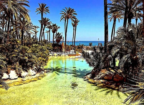 Natural landscape