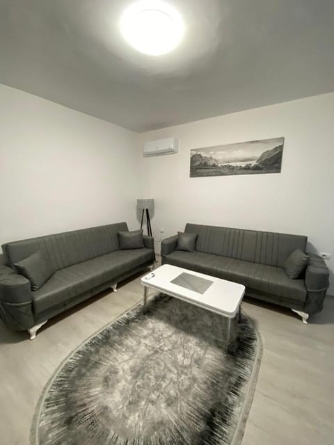 Living room, Seating area, air conditioner