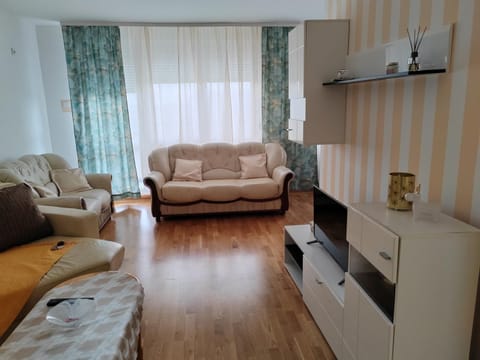 Apartman SM Apartment in Vojvodina