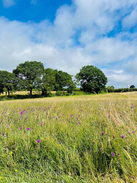 Reinventing the Farm House in East Devon District