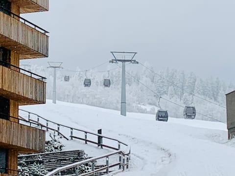 Natural landscape, Ski School, Skiing, Skiing, View (from property/room)