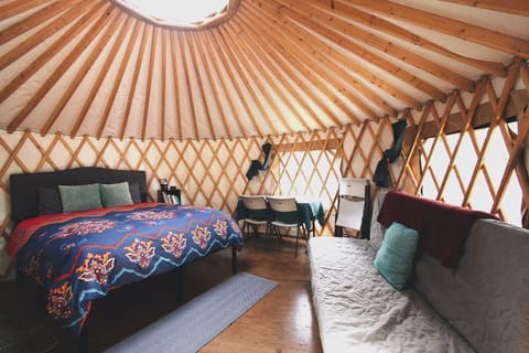 Bed, Dining area, Bedroom