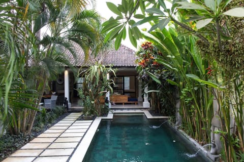 Patio, Day, Garden, Pool view