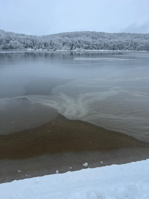 Cottage an der Elbe Tespe Hamburg Apartment in Schleswig-Holstein
